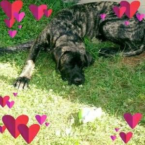 Meet your Posher, Debra